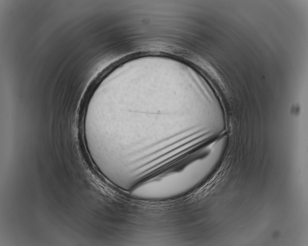 X0000097841020200803281219