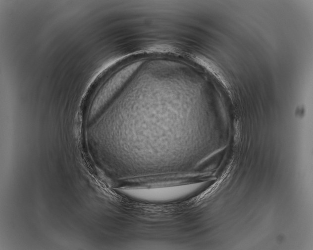 X0000097841021200803281219