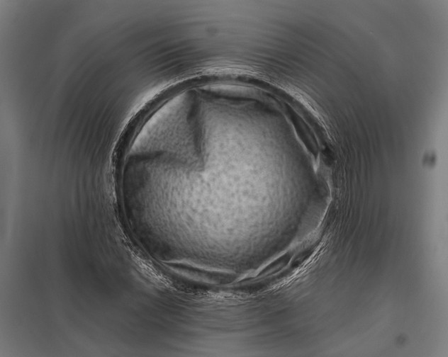 X0000097841022200803281219