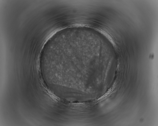 X0000097841023200803281219