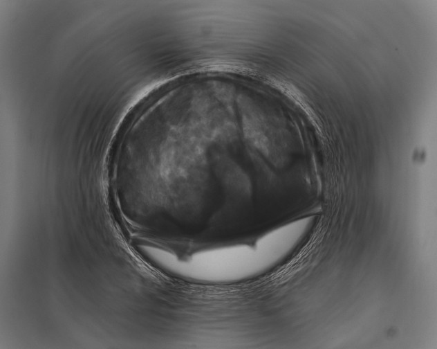 X0000097841024200803281219