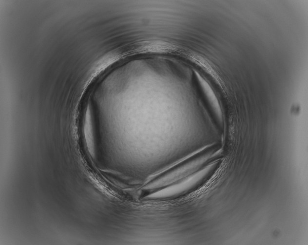 X0000097841026200803281219