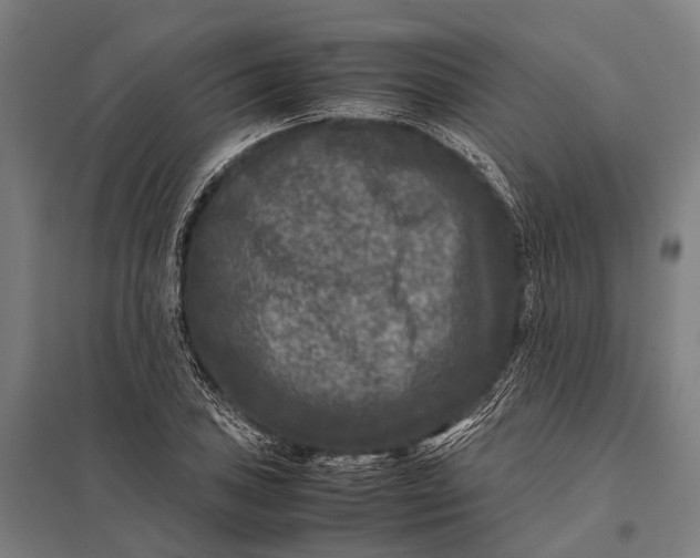 X0000097841027200803281219