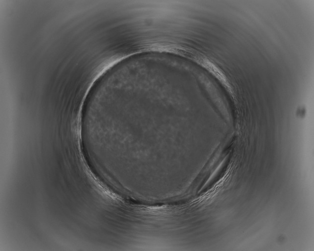 X0000097841028200803281219