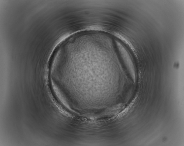 X0000097841029200803281219