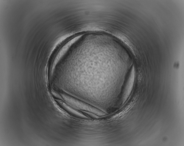 X0000097841030200803281219