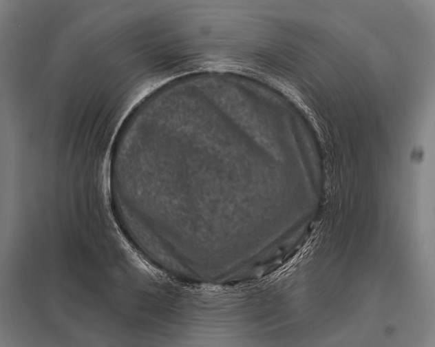 X0000097841032200803281219