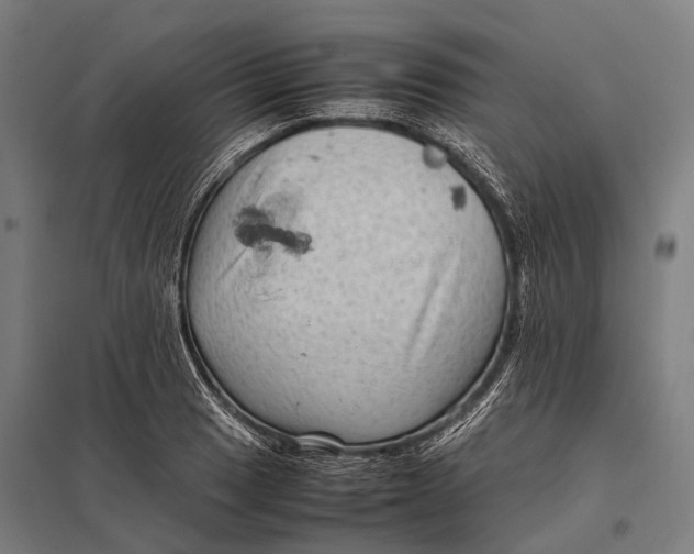 X0000097841033200803281219