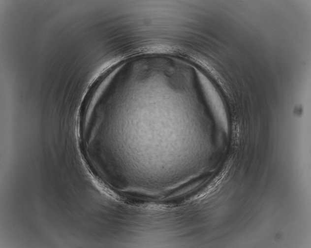 X0000097841034200803281219