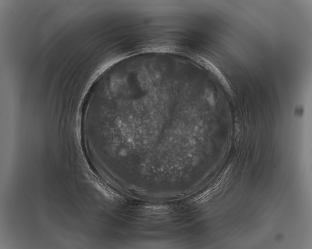 X0000097841035200803281219