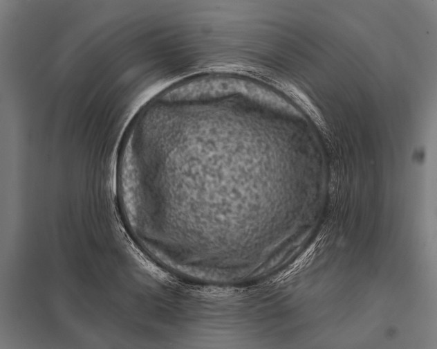 X0000097841036200803281219