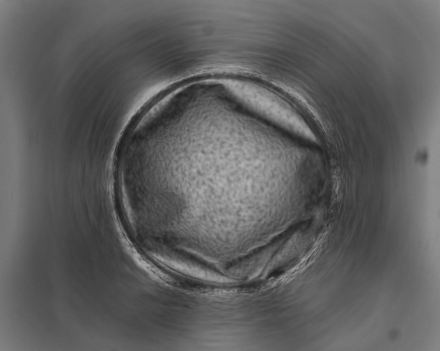X0000097841038200803281219