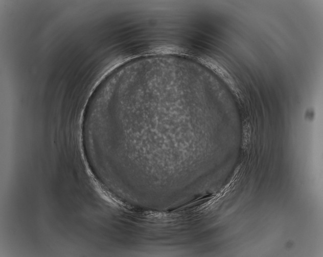 X0000097841039200803281219
