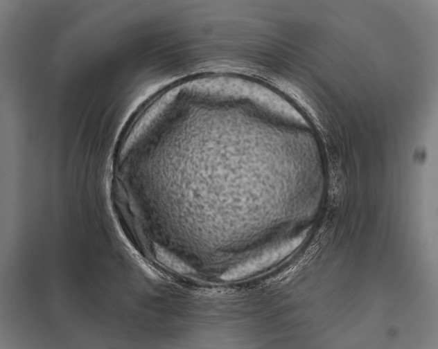 X0000097841040200803281219