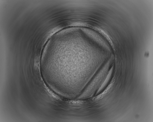 X0000097841041200803281219