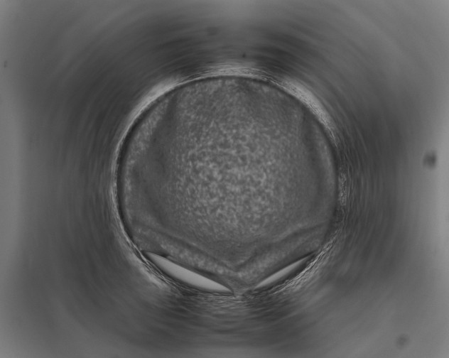 X0000097841043200803281219