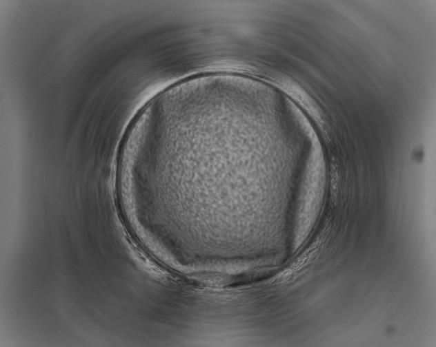 X0000097841044200803281219