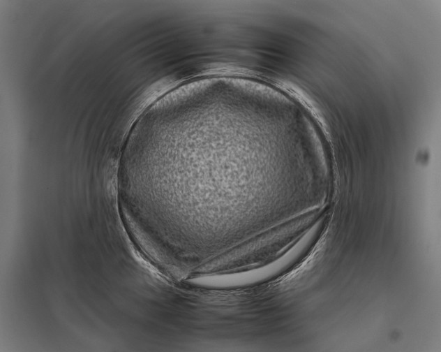 X0000097841049200803281219