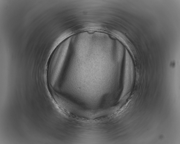 X0000097841050200803281219