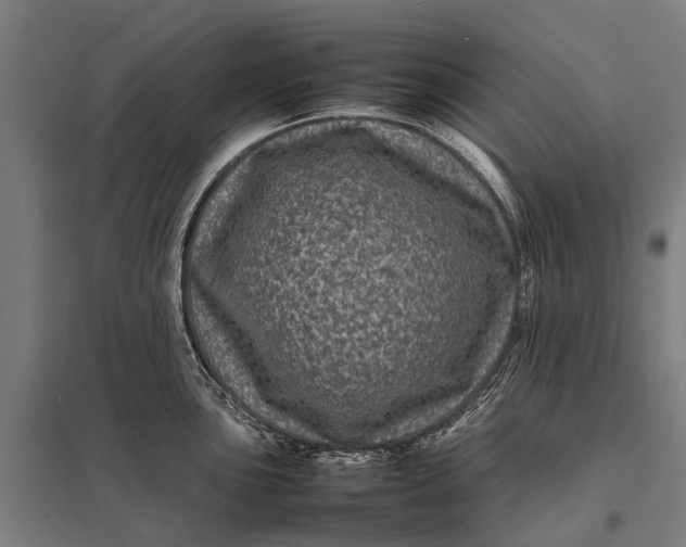 X0000097841051200803281219