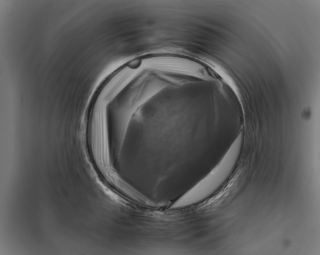 X0000097841053200803281219