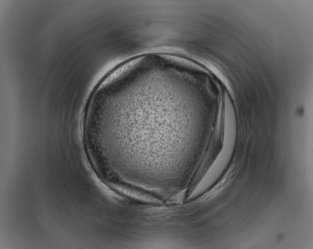 X0000097841054200803281219