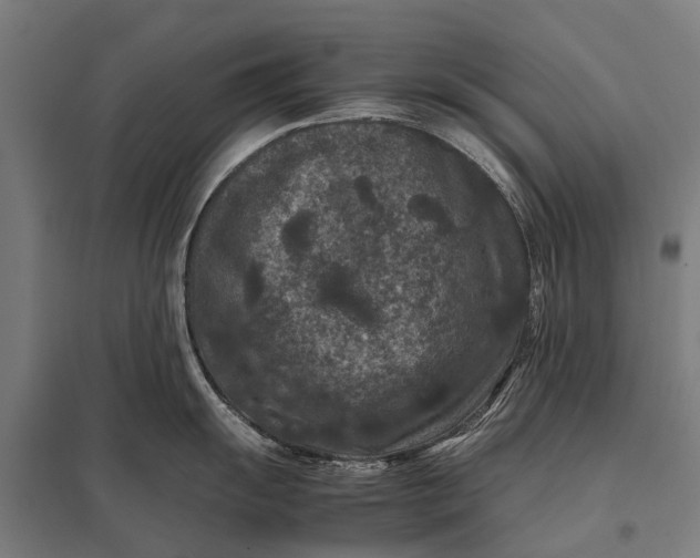 X0000097841055200803281219