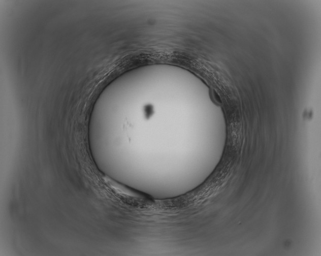 X0000097841057200803281219