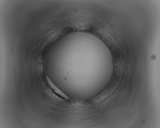 X0000097841058200803281219