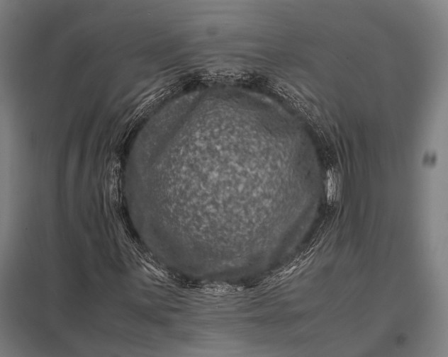 X0000097841059200803281219
