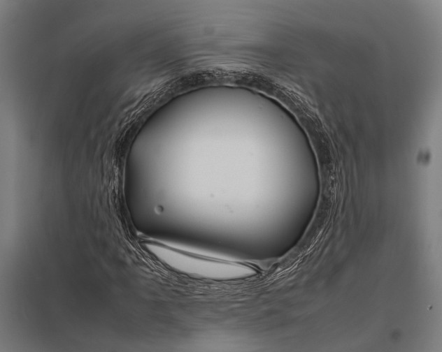 X0000097841061200803281219