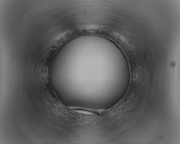 X0000097841062200803281219