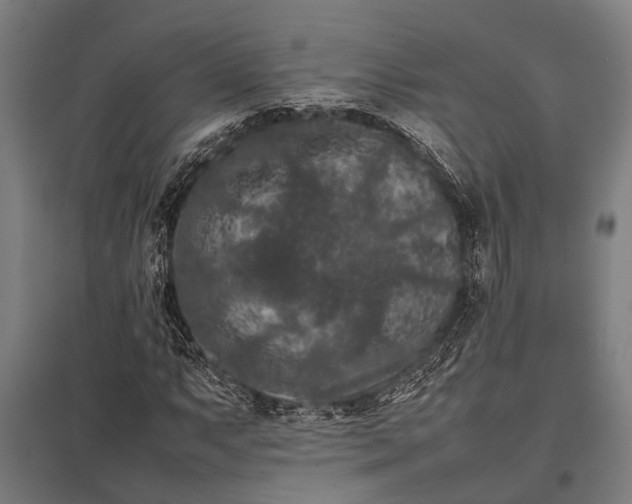 X0000097841063200803281219