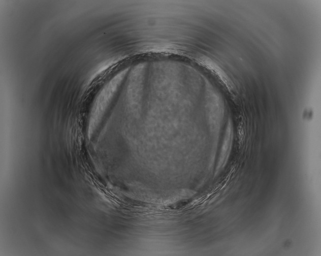 X0000097841064200803281219