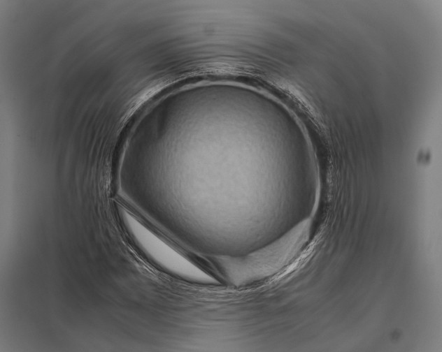 X0000097841065200803281219
