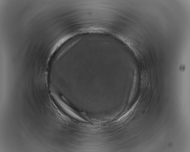 X0000097841066200803281219