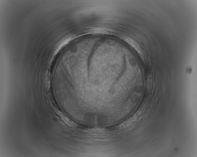 X0000097841067200803281219