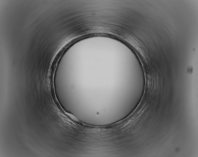 X0000097841068200803281219