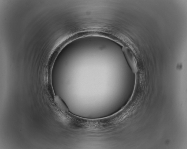 X0000097841069200803281219