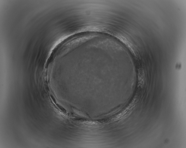 X0000097841070200803281219