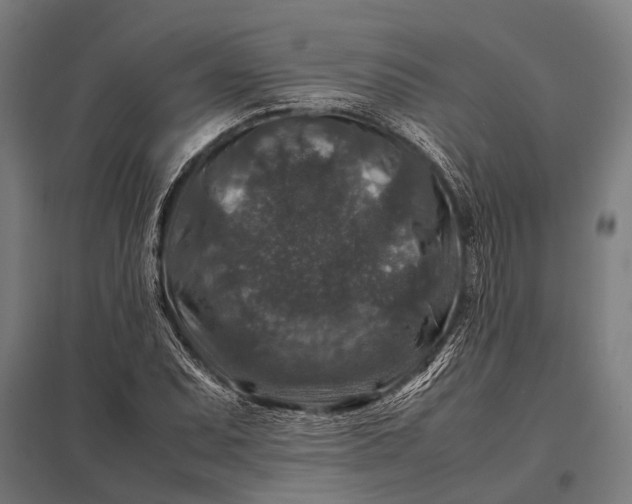 X0000097841071200803281219
