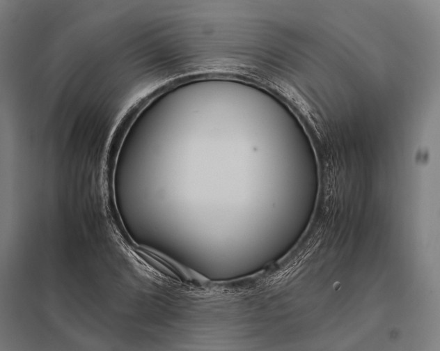 X0000097841072200803281219