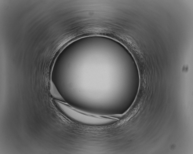 X0000097841073200803281219