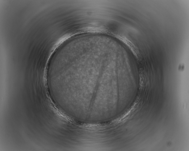 X0000097841074200803281218