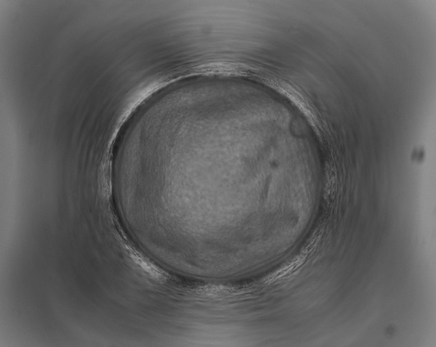 X0000097841075200803281218