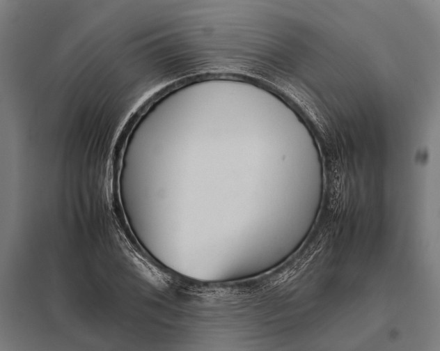 X0000097841076200803281218