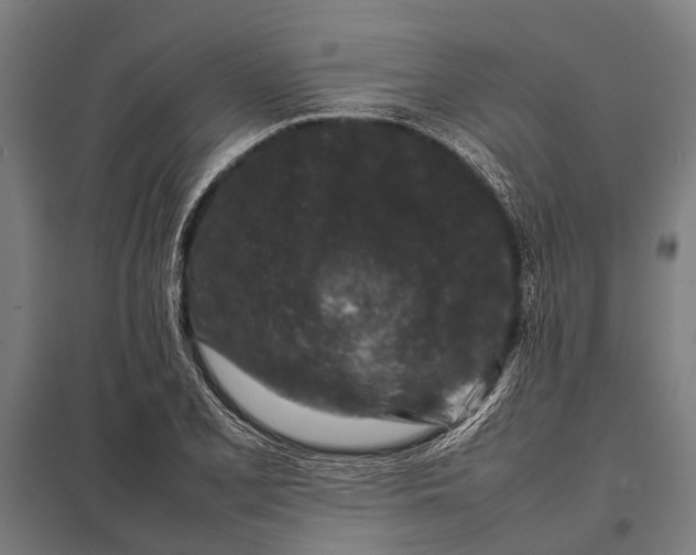X0000097841077200803281218