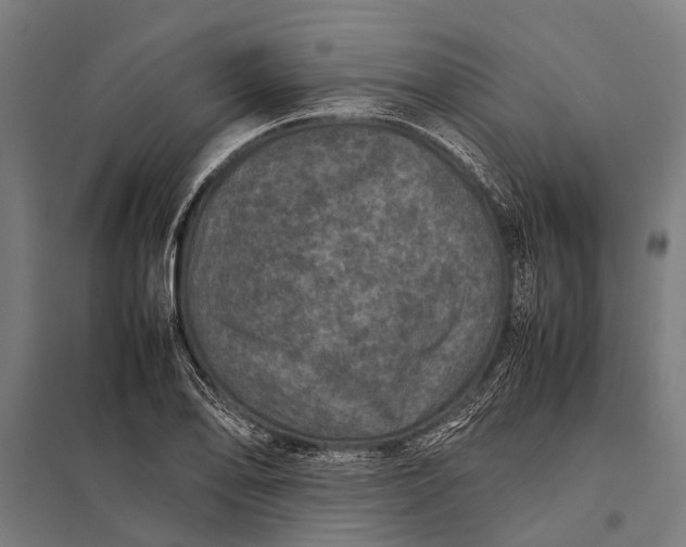 X0000097841078200803281218