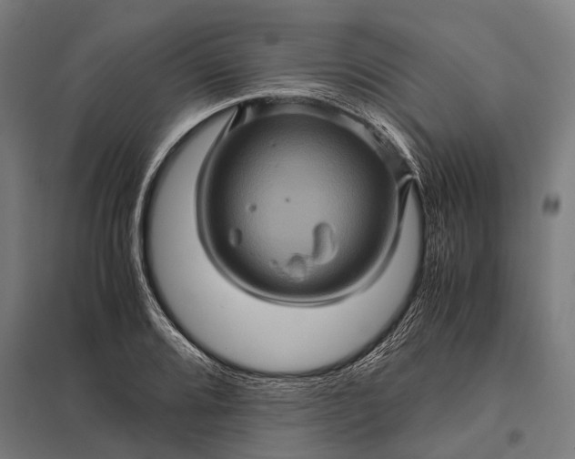 X0000097841080200803281218
