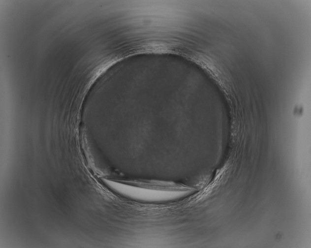 X0000097841081200803281218